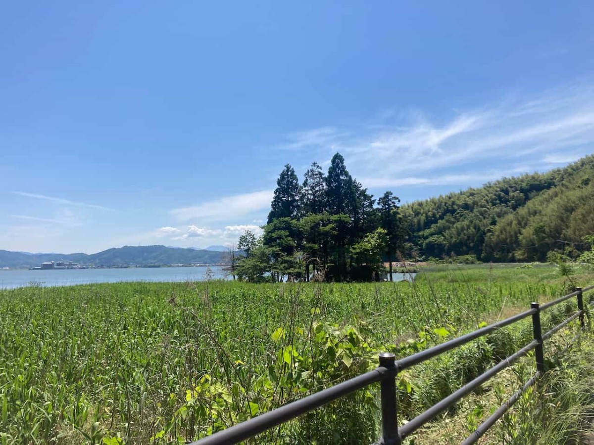 鳥取県東伯郡湯梨浜町にある『宮戸弁天』の様子