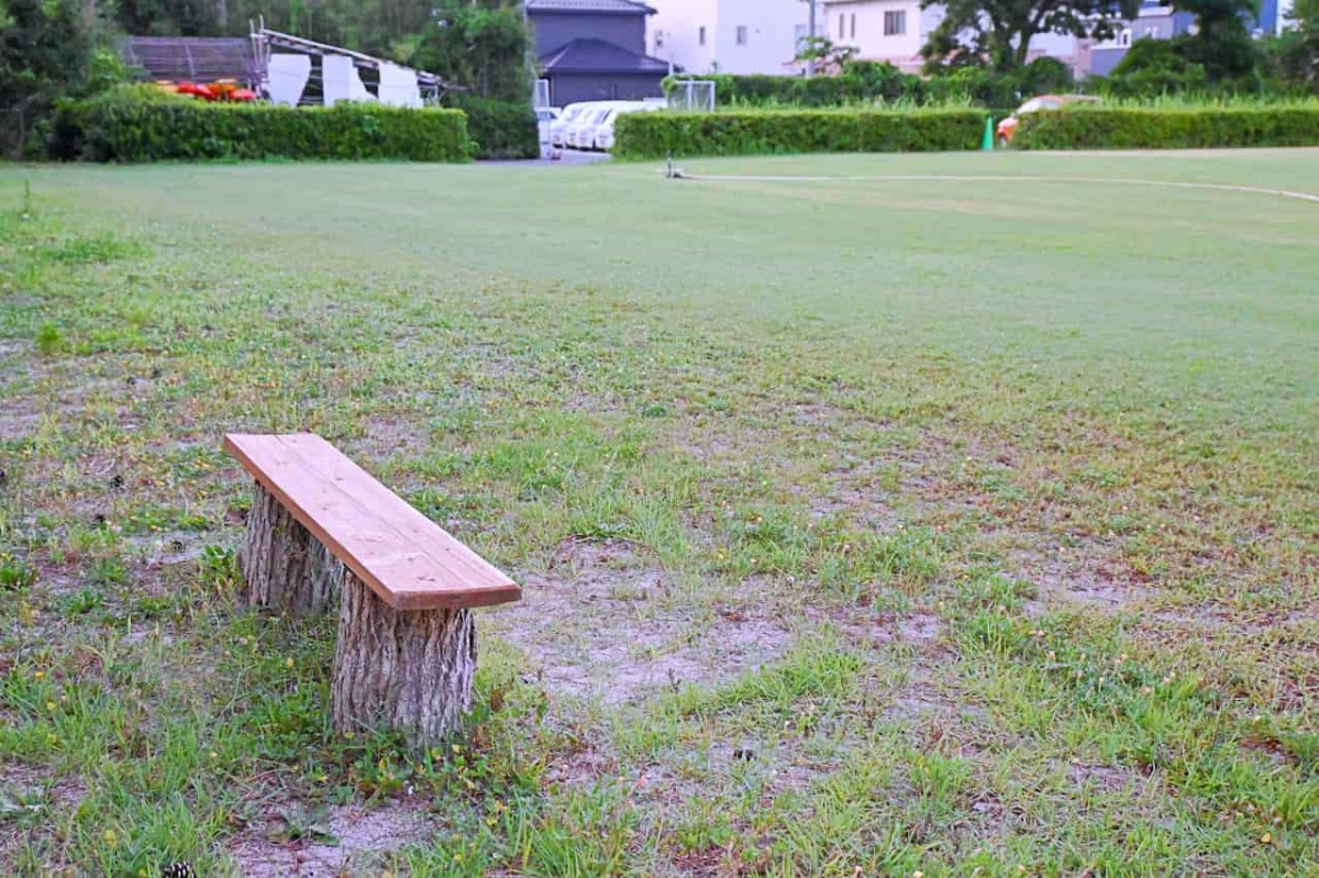 鳥取県米子市にある『皆生プレイパーク』の芝生