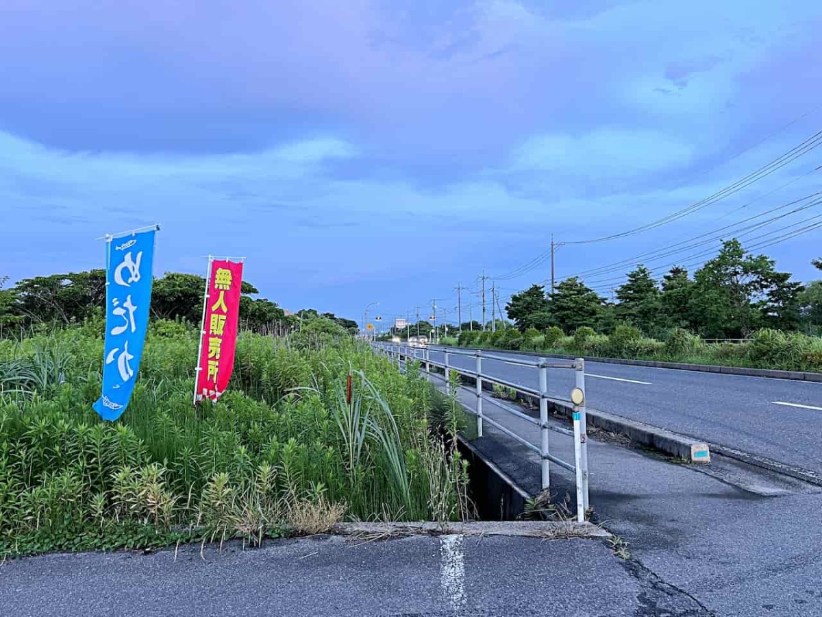 鳥取県米子市にある『弓浜恋めだか』周辺ののぼり