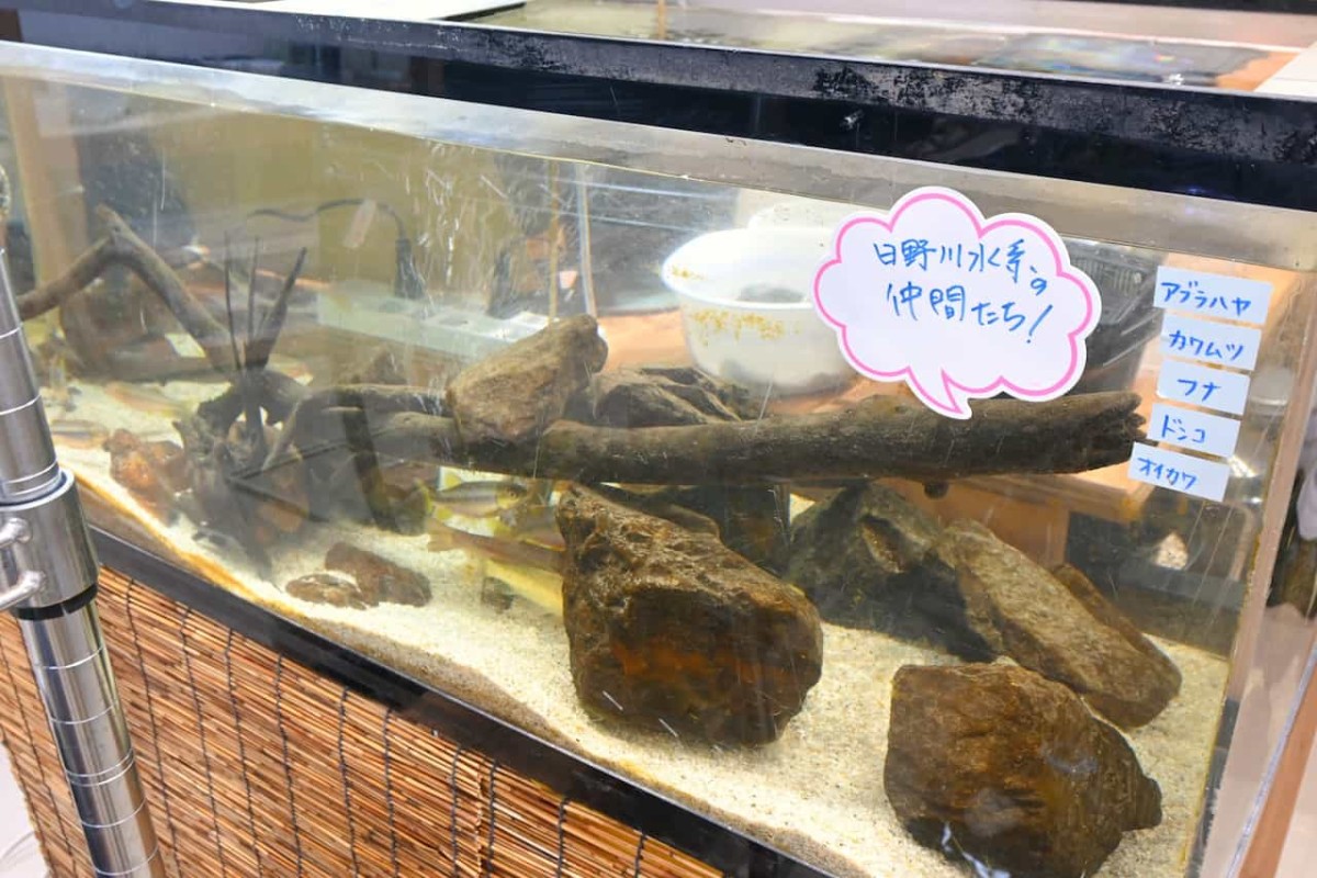 鳥取県米子市『元町水族館びおっと』の内観