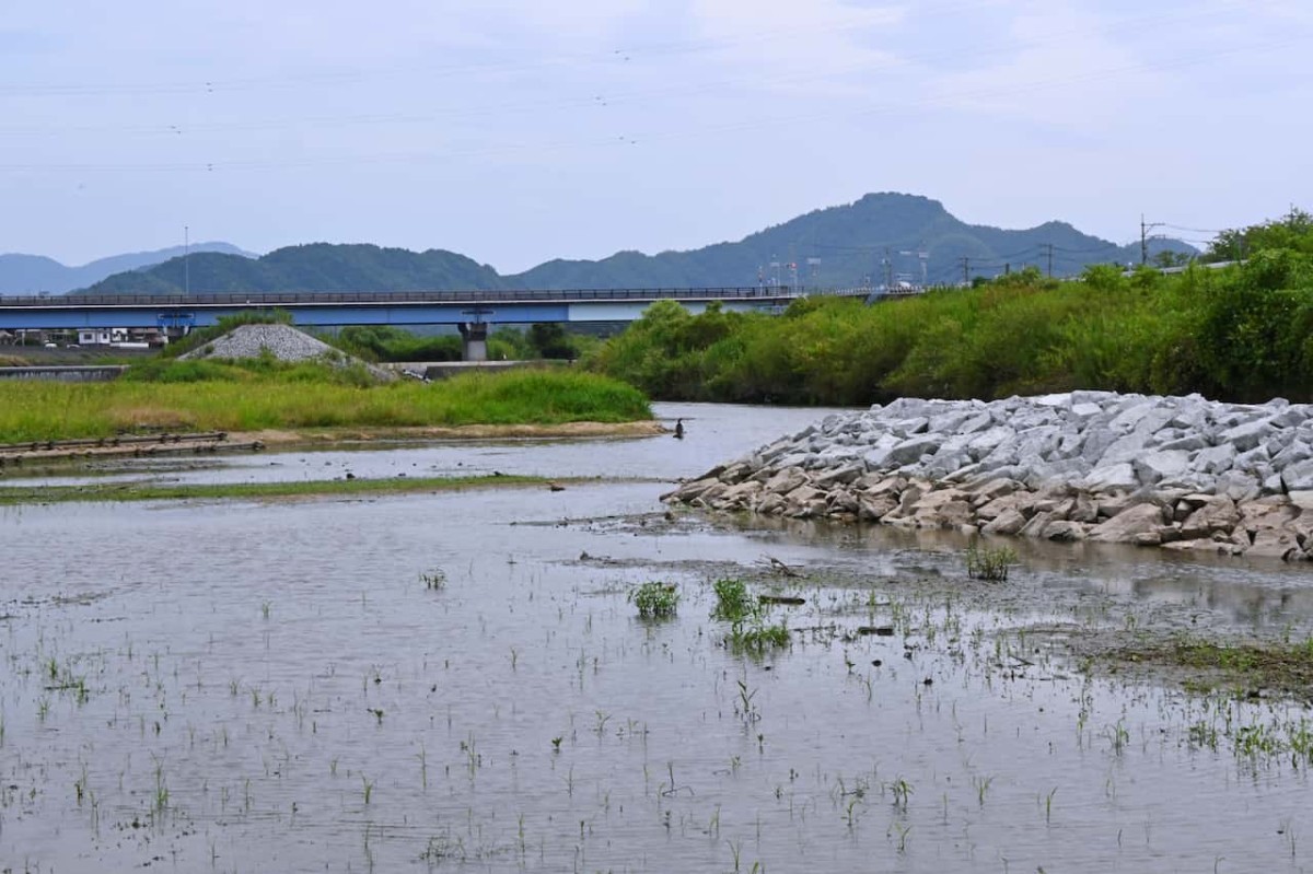 鳥取県米子市にある『水辺の楽校』の様子