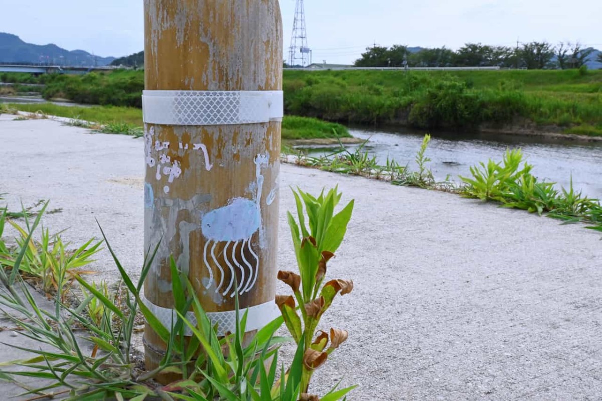 鳥取県米子市にある『水辺の楽校』に並ぶ手作り灯籠