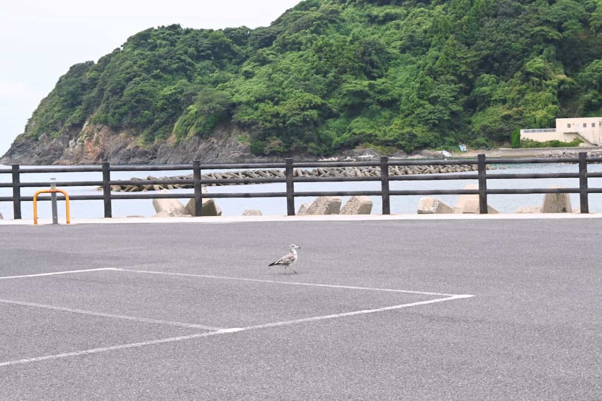 島根県松江市の「野波海水浴場」周辺の様子