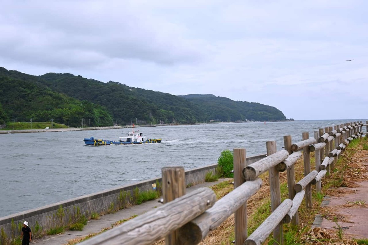 鳥取県境港市にある『昭和北緑地』の様子