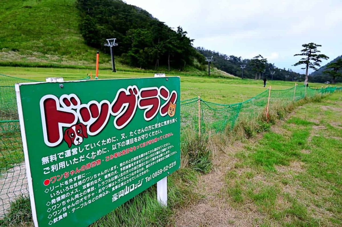 鳥取県西伯郡大山町にある『豪円山ロッジ』の無料ドッグラン