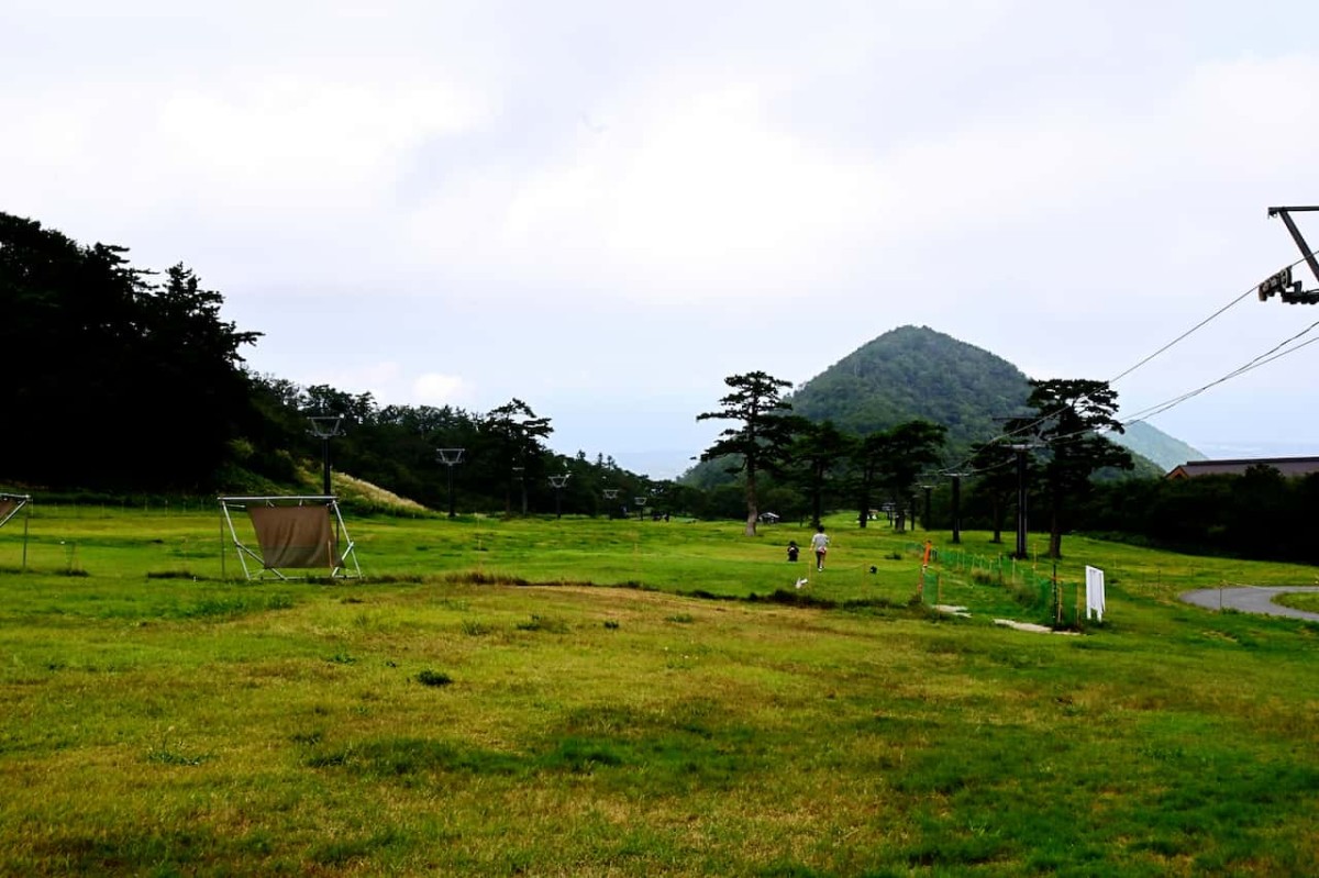 鳥取県西伯郡大山町にある『豪円山ロッジ』の無料ドッグラン