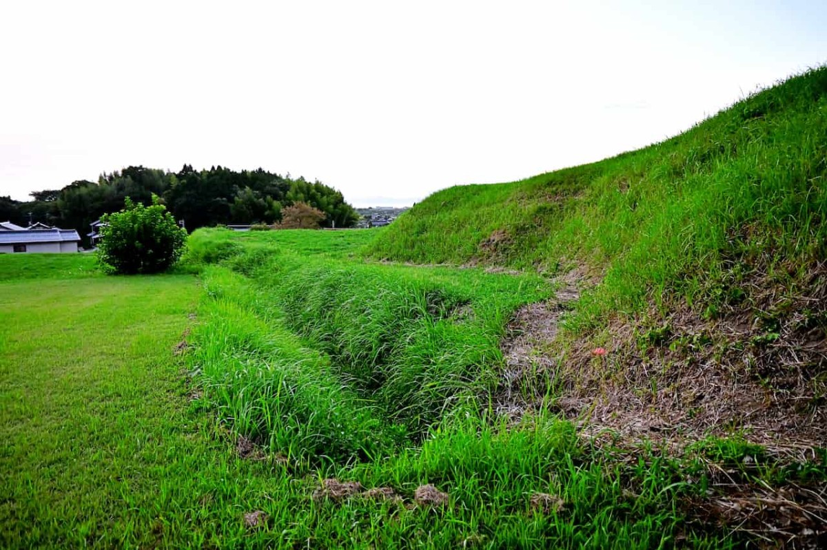 鳥取県米子市にある『上淀廃寺跡』の彼岸花の開花状況