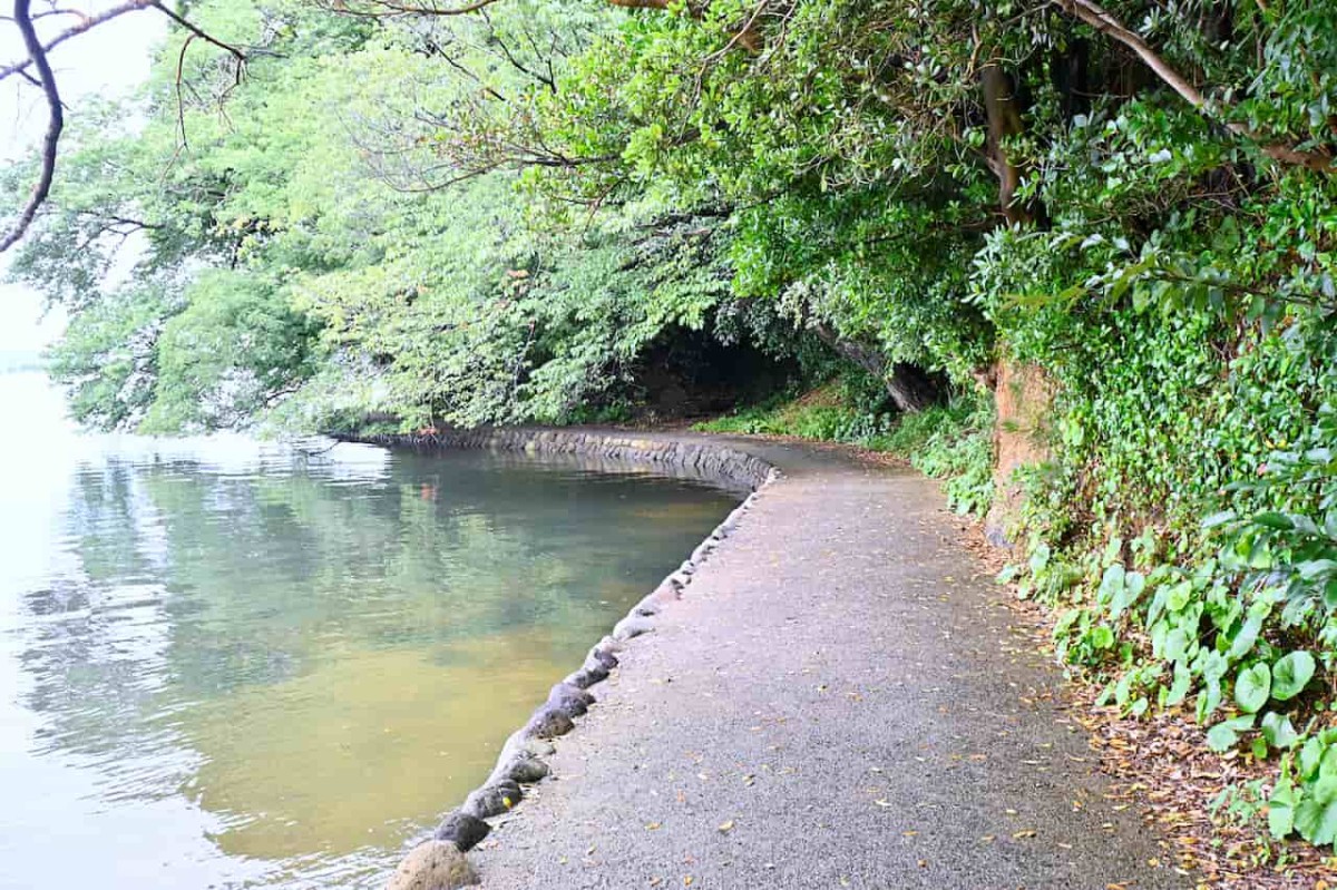 島根県安来市にある『十神山なぎさ公園』の散策路