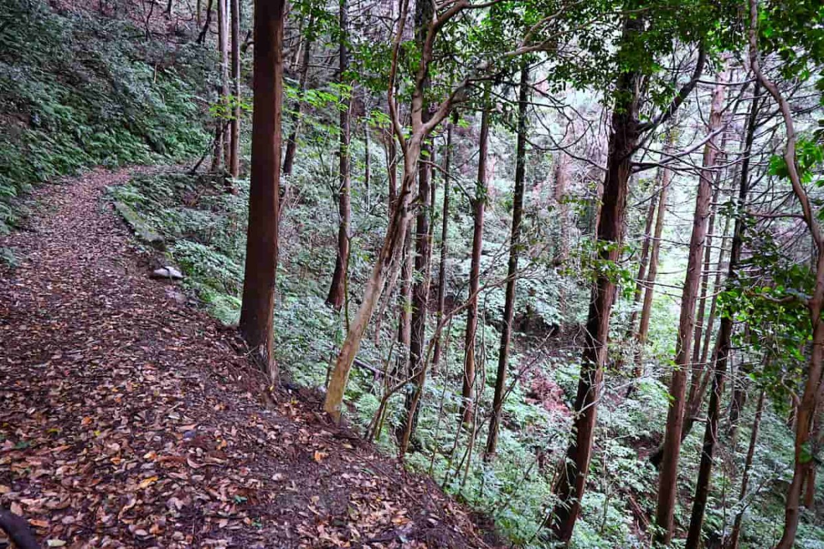 島根県安来市にある『十神山なぎさ公園』