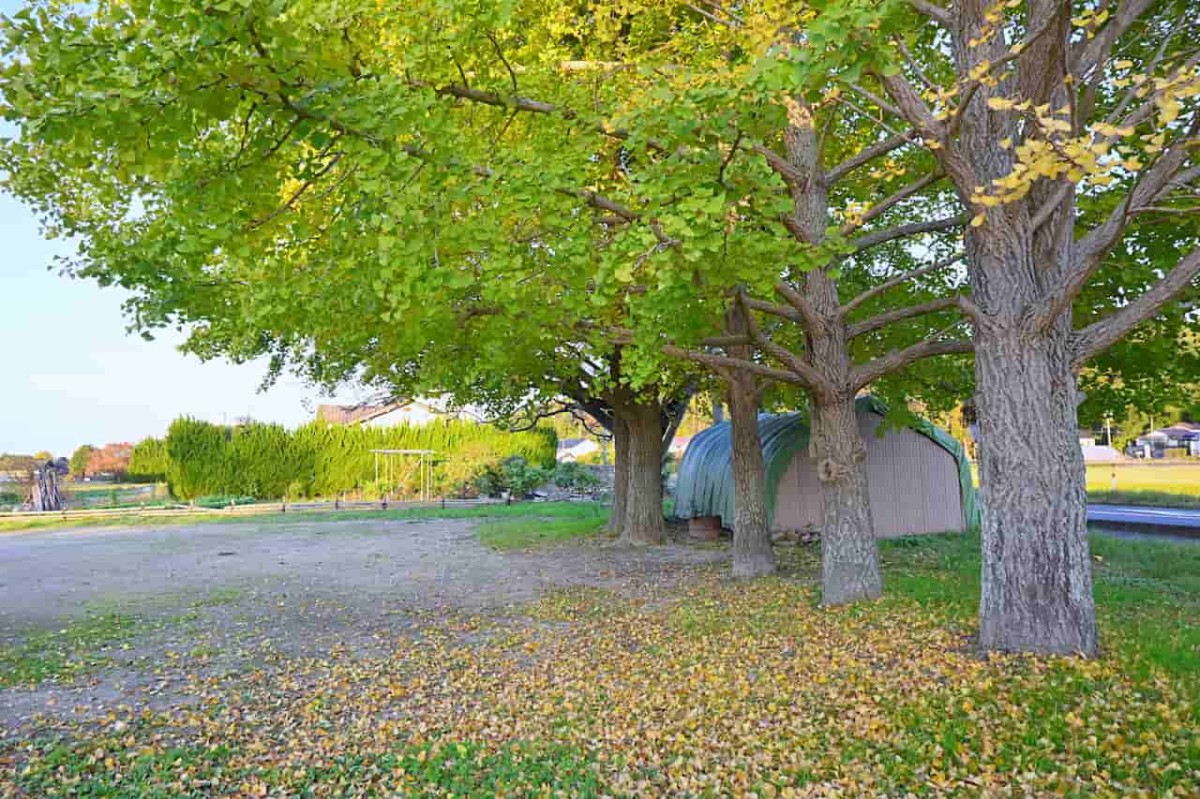 島根県出雲市にある『下出西遊園地』の11月の様子