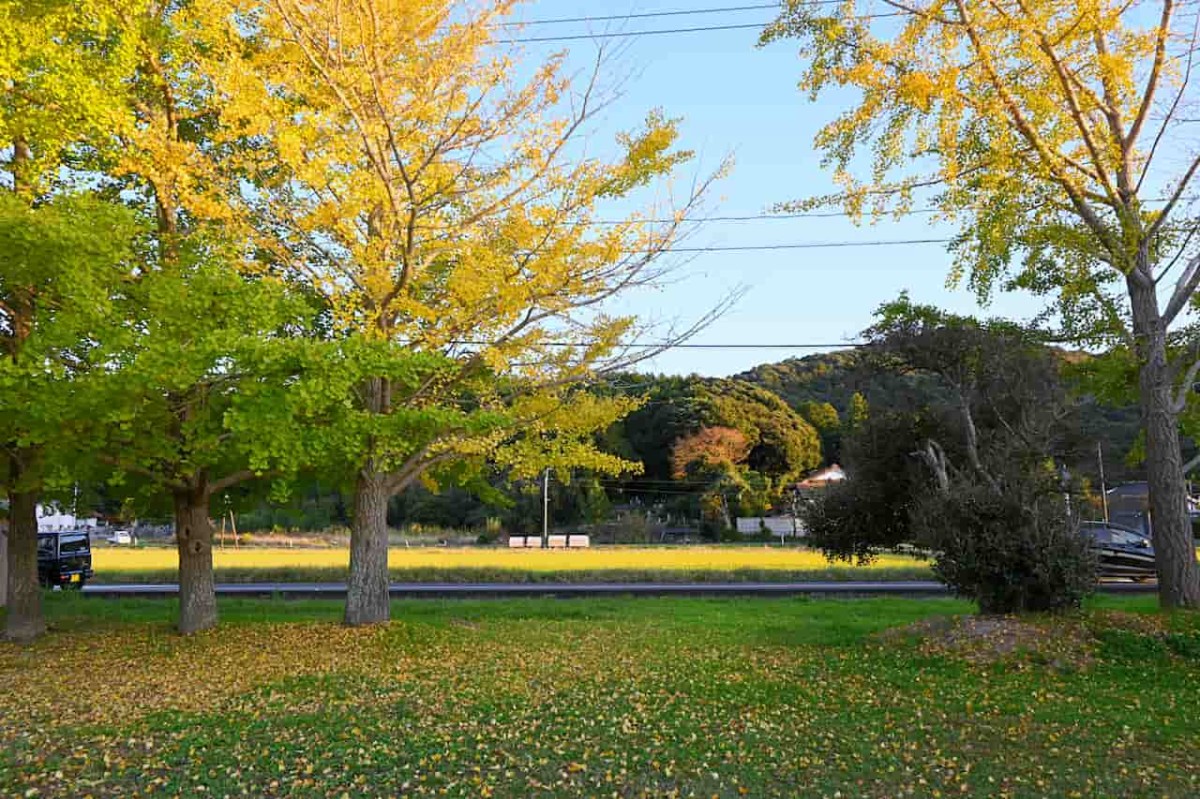 島根県出雲市にある『下出西遊園地』の11月の様子