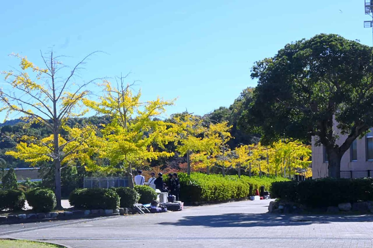 島根県出雲市にある『湖陵総合公園』の様子