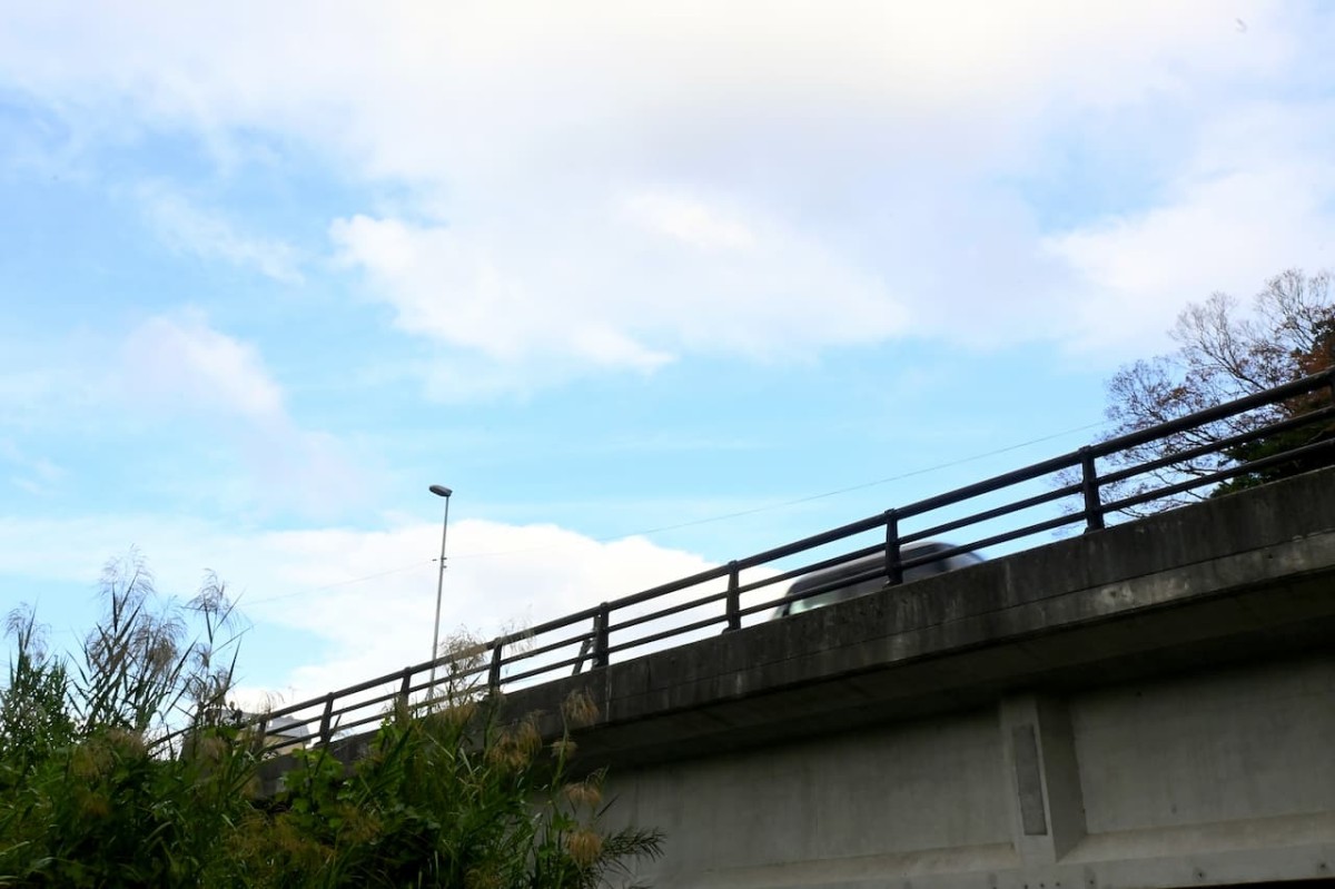 島根県松江市にある『さいのかみ公園』から見た空