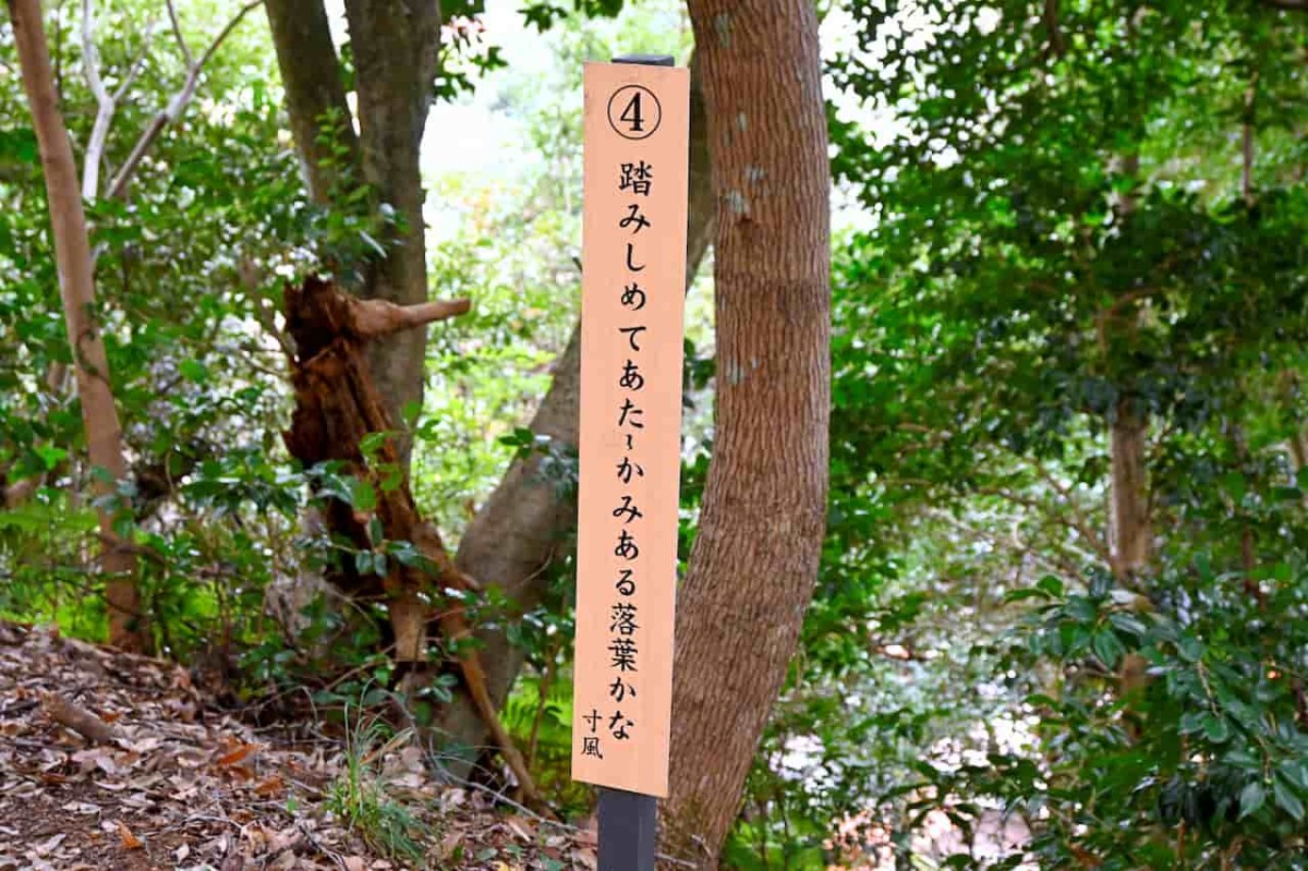 鳥取県鳥取市の吉岡温泉にある『秋葉公園』内の俳句の板