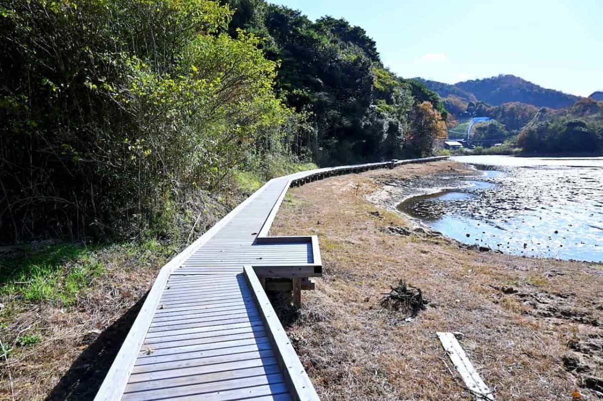 鳥取県鳥取市にある多鯰ヶ池の歩道