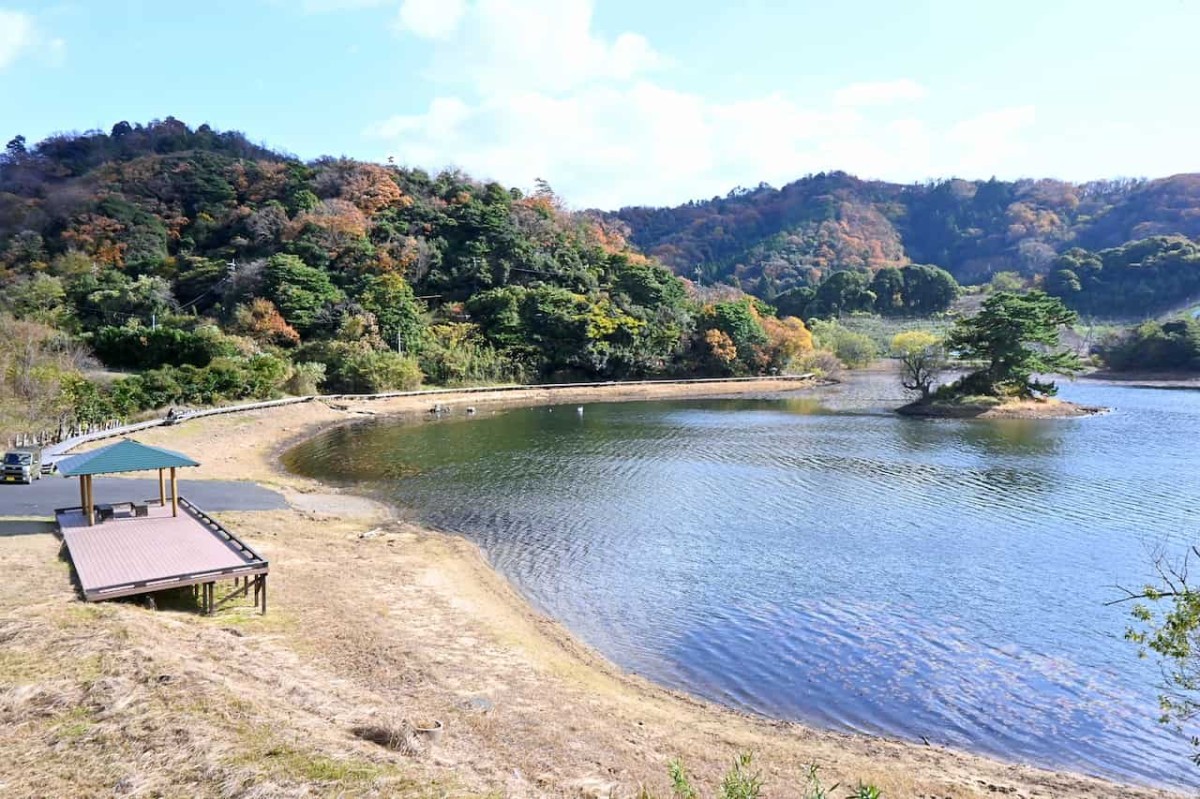 鳥取県鳥取市にある多鯰ヶ池の様子