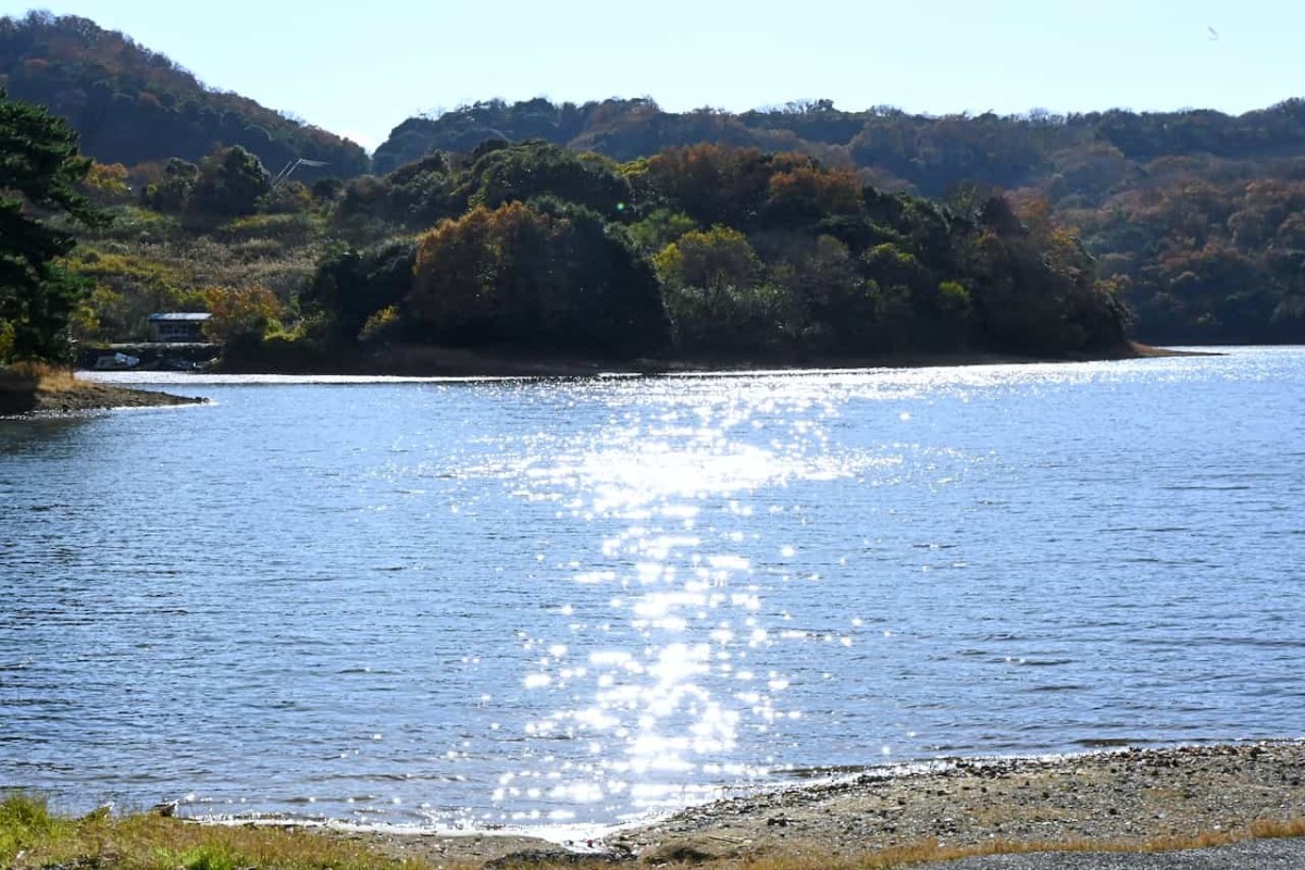 鳥取県鳥取市にある多鯰ヶ池の池の眺め