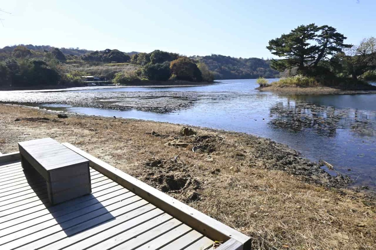 鳥取県鳥取市にある多鯰ヶ池の歩道