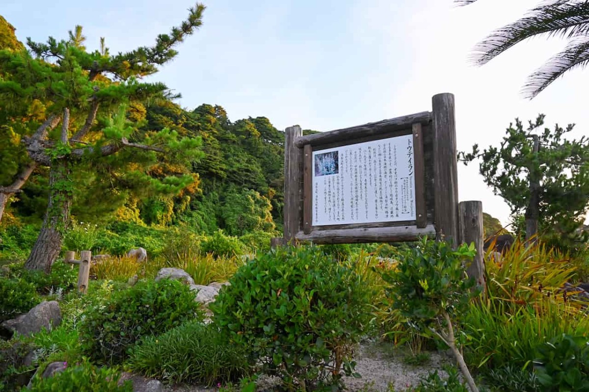 鳥取県東伯郡湯梨浜町にある『トウテイランの里』の看板