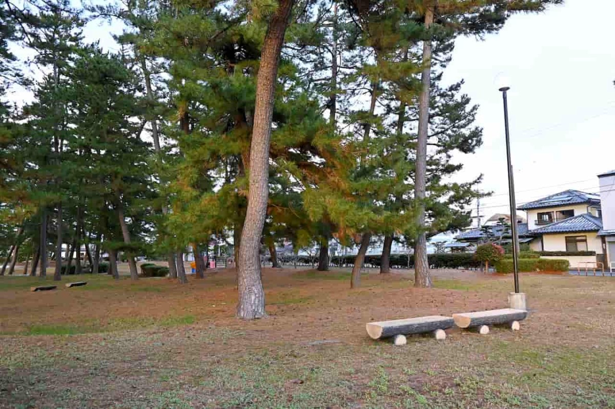 鳥取県米子市にある『皆生新田中央公園』のベンチ