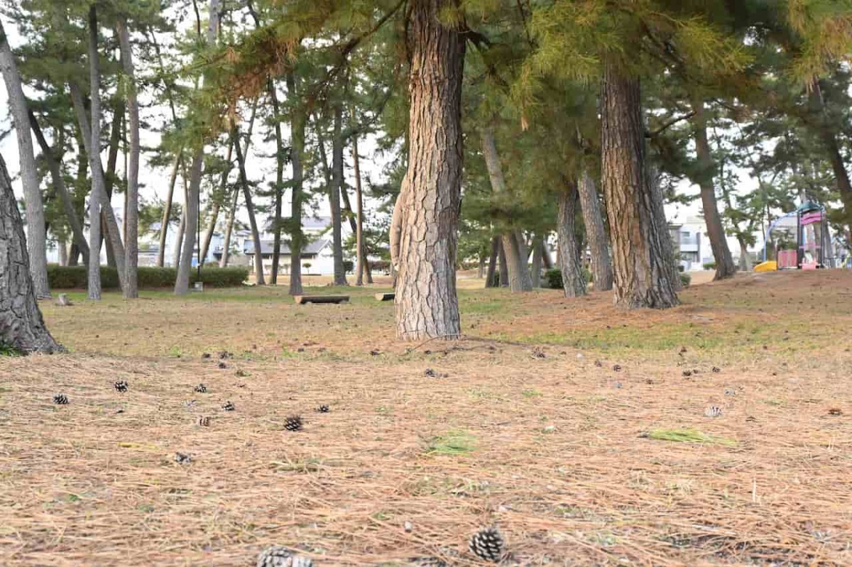 鳥取県米子市にある『皆生新田中央公園』の様子