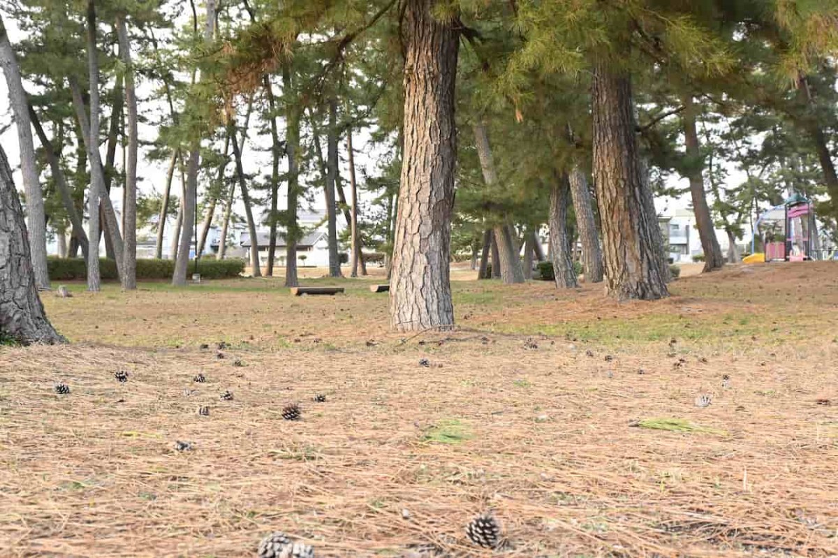 鳥取県米子市にある『皆生新田中央公園』の様子