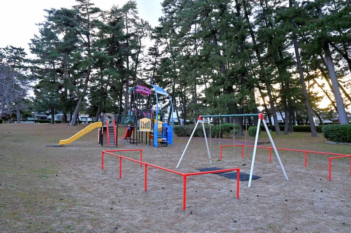 鳥取県米子市にある『皆生新田中央公園』の遊具