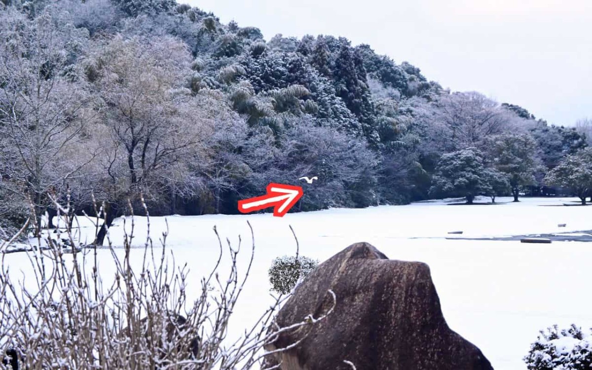 鳥取県米子市にある『福市遺跡公園』の冬の様子