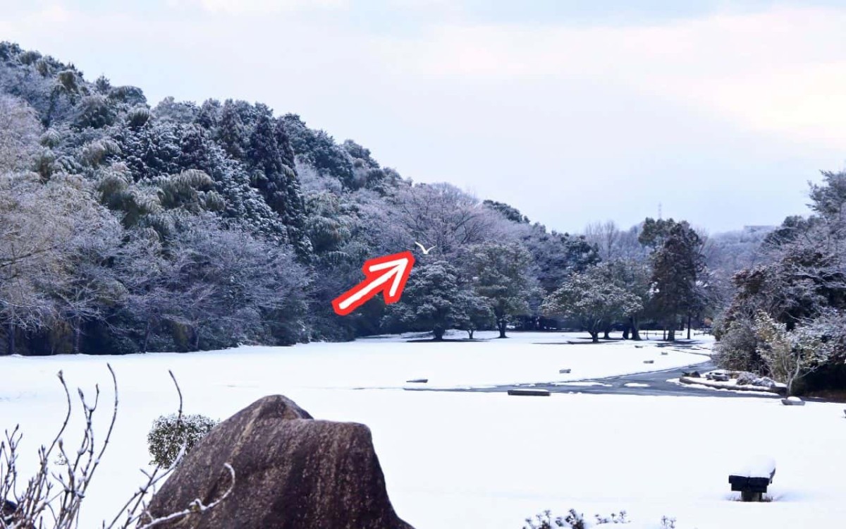 鳥取県米子市にある『福市遺跡公園』の冬の様子