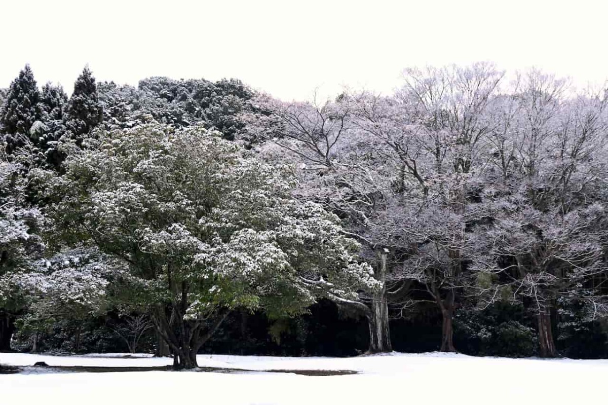 鳥取県米子市にある『福市遺跡公園』の冬の様子