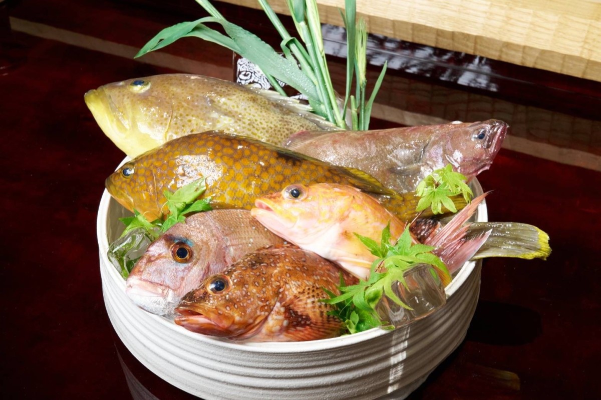 鳥取県米子市にオープンした日本料理店『鮟（うおあん）』の食材イメージ