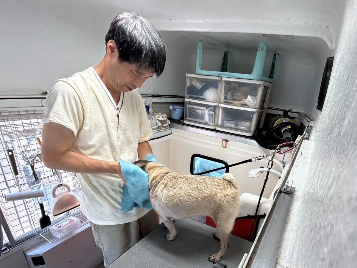 島根県出雲市のドッグシャンプーサービス『犬アル』の施術の様子