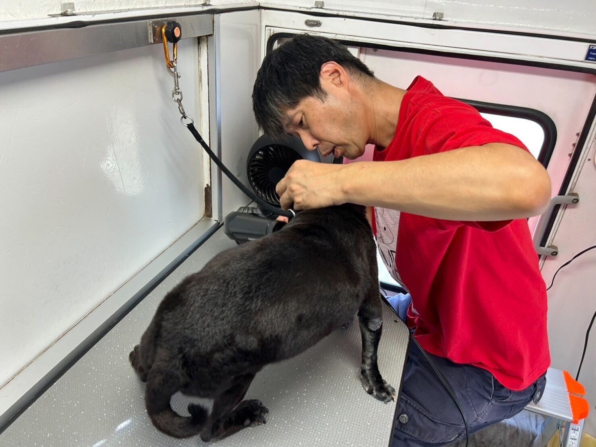 島根県出雲市のドッグシャンプーサービス『犬アル』の施術の様子