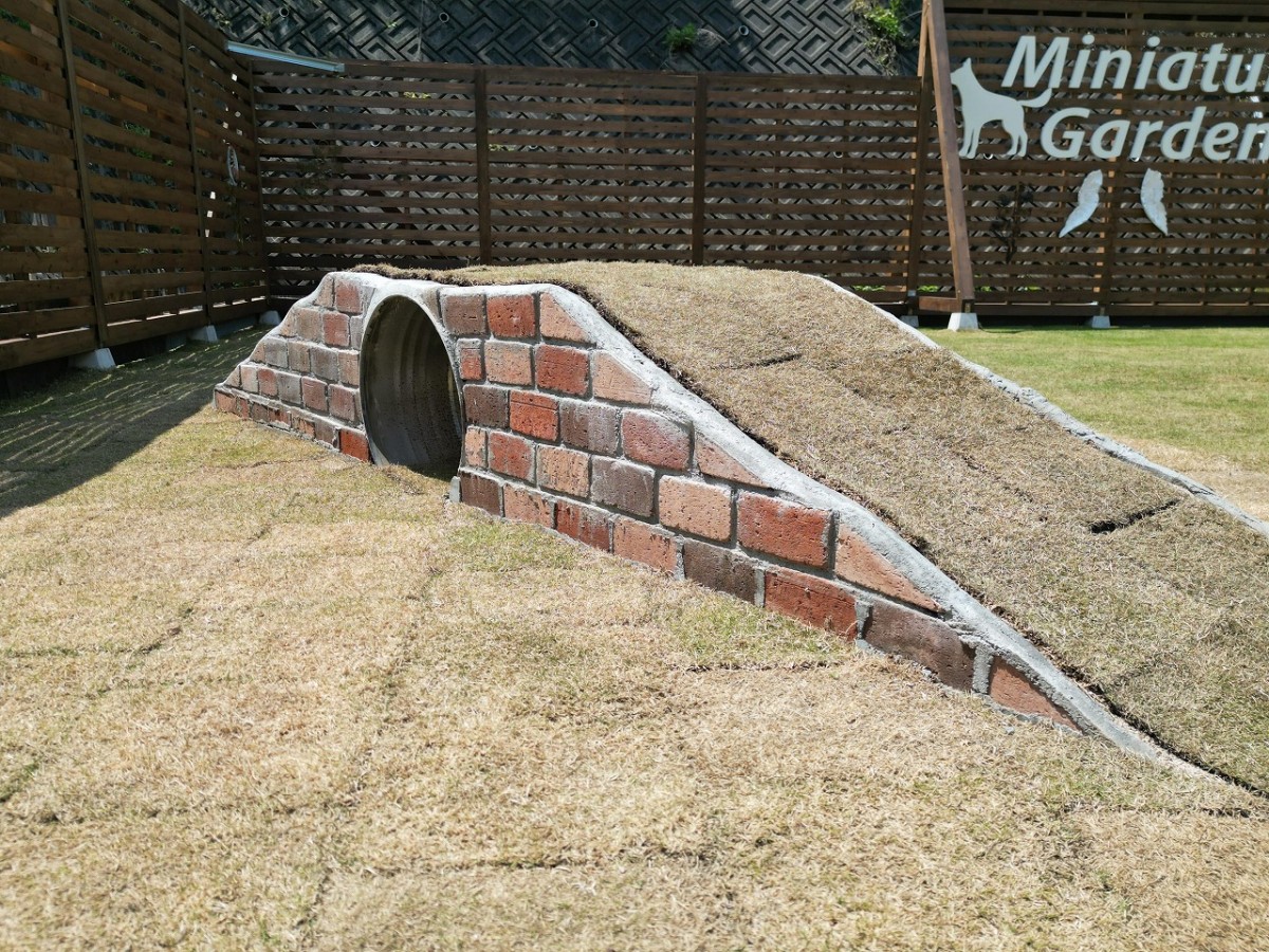 島根県松江市にオープンしたドッグパーク『MiniatureGarden』の施設内の様子