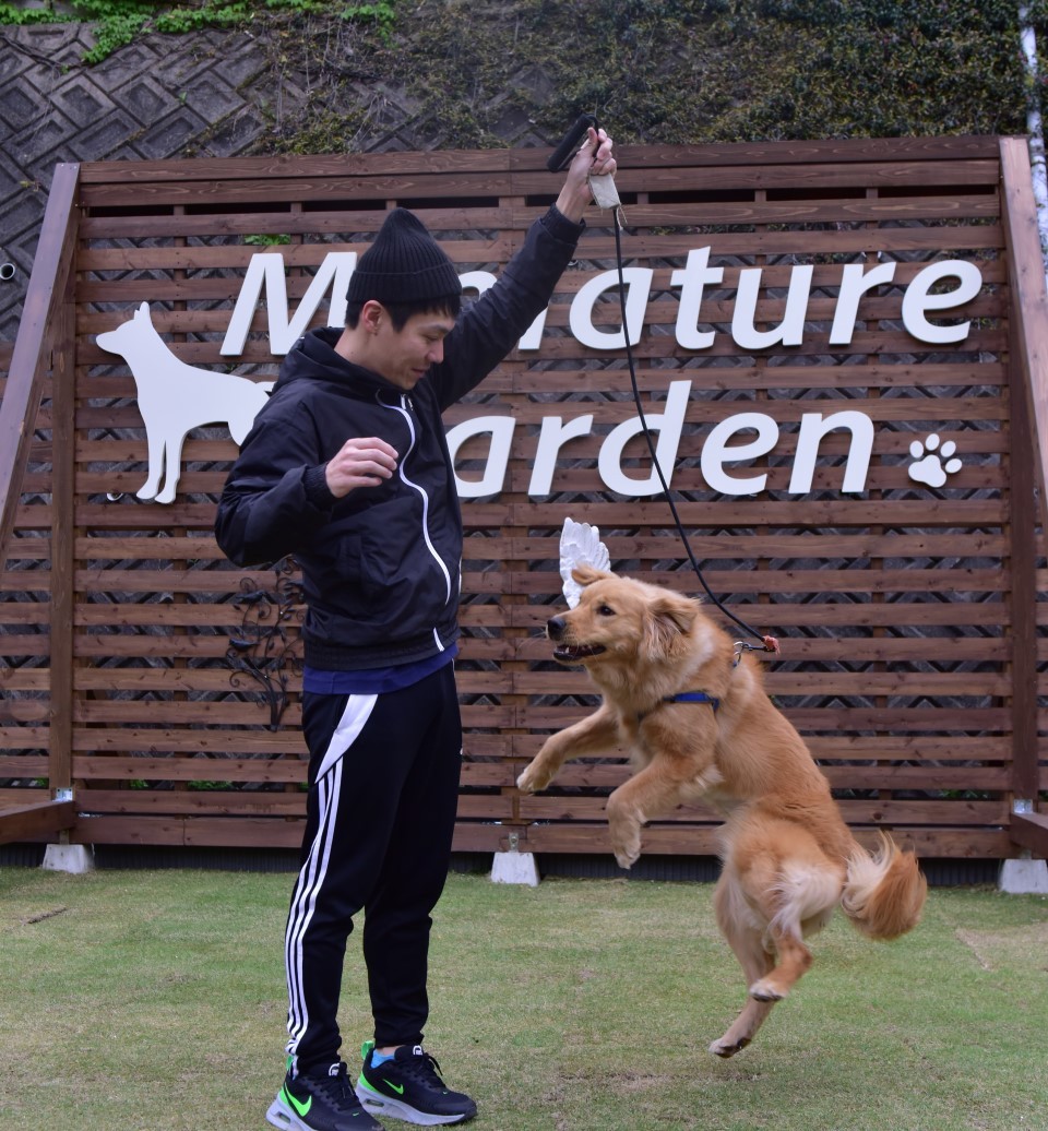 島根県松江市にオープンしたドッグパーク『MiniatureGarden』の施設内の様子