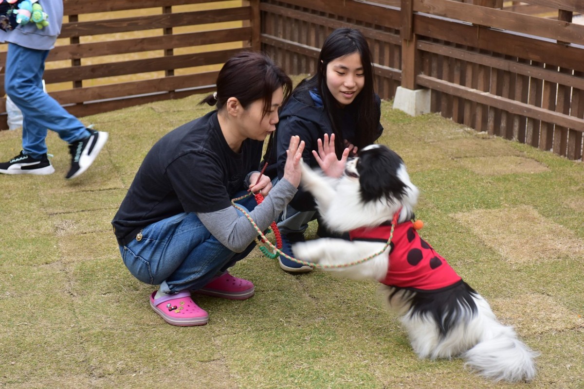 島根県松江市にオープンしたドッグパーク『MiniatureGarden』の施設内の様子