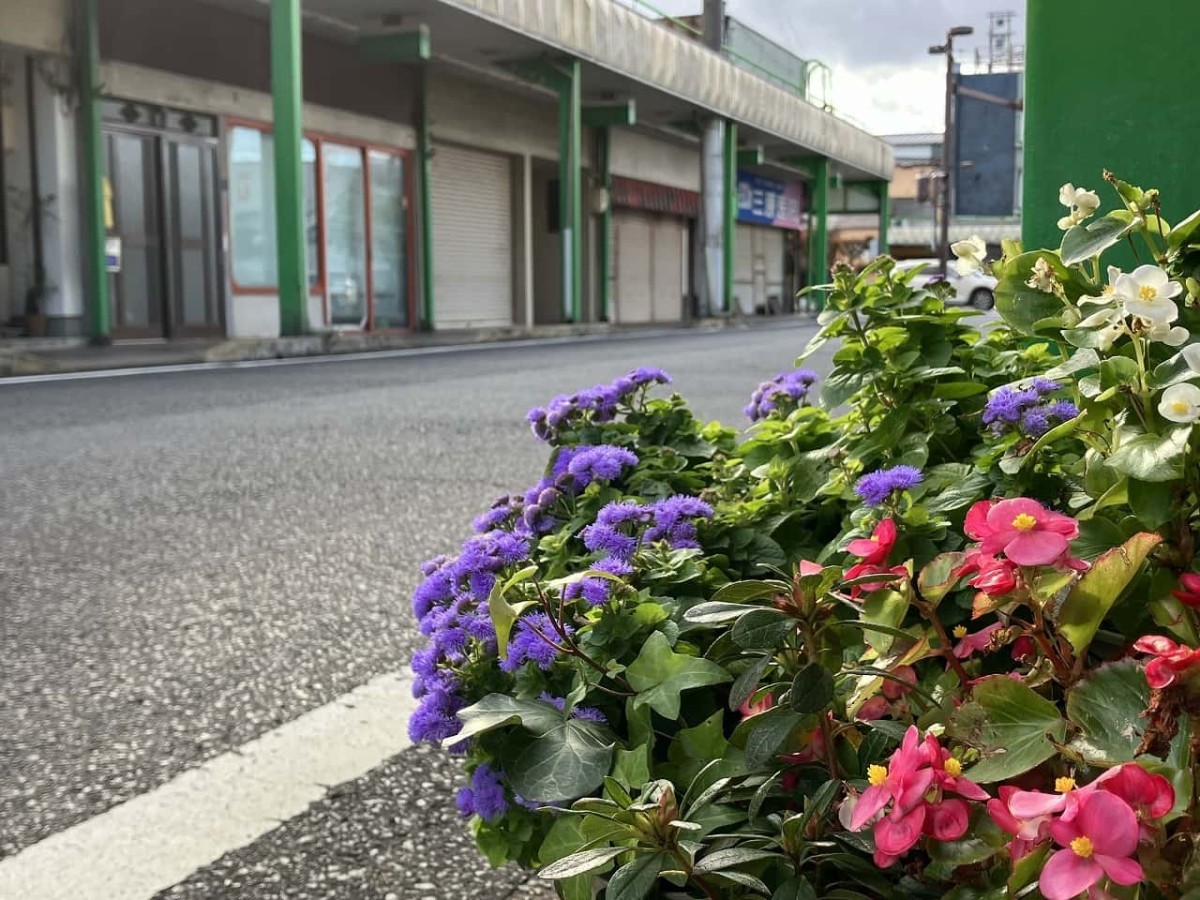 島根県出雲市にある「本町商店街」の様子