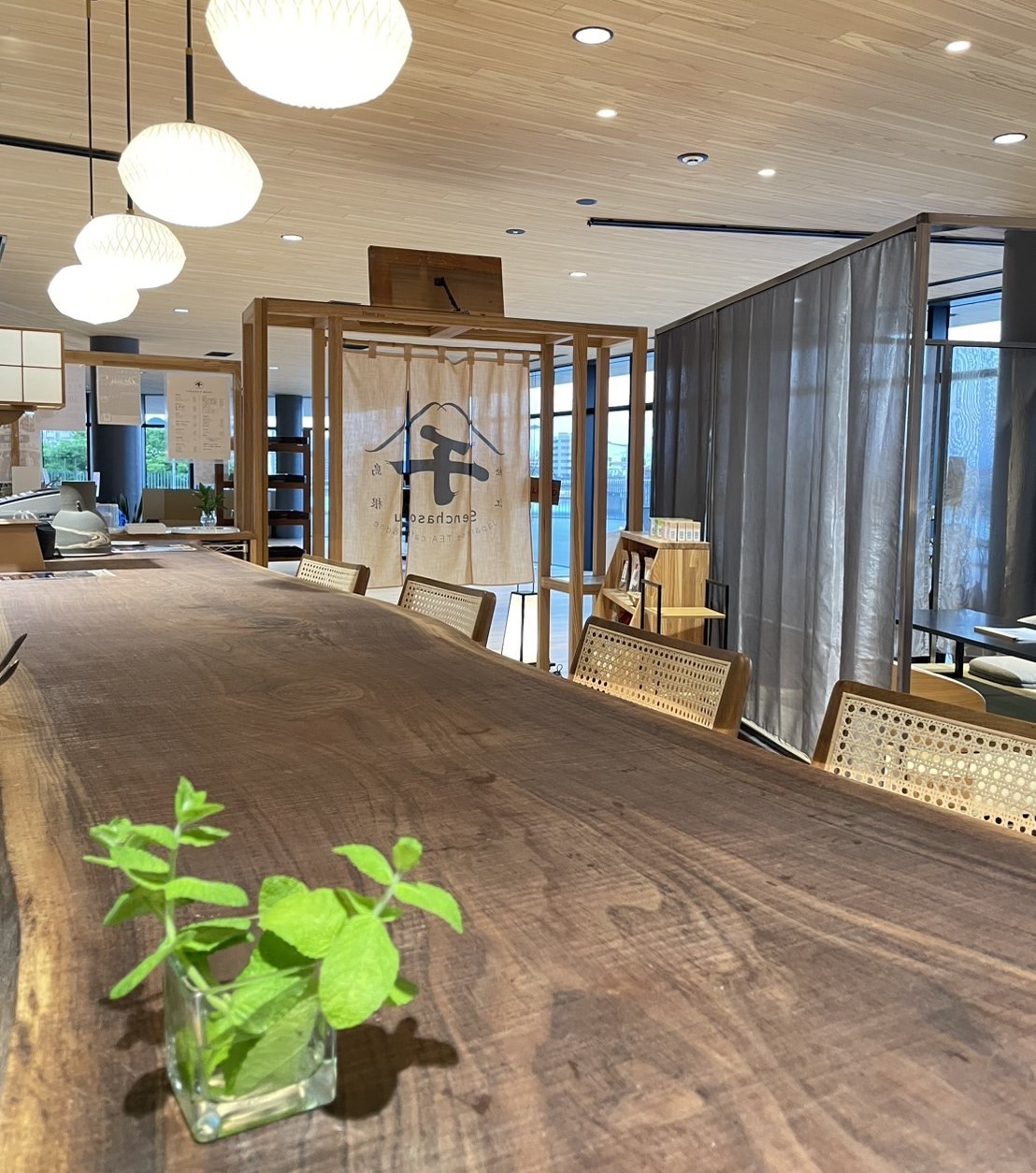 松江市役所２階にオープンした『Senchasou Japanese TEA cafe＆dine 』の店内の様子