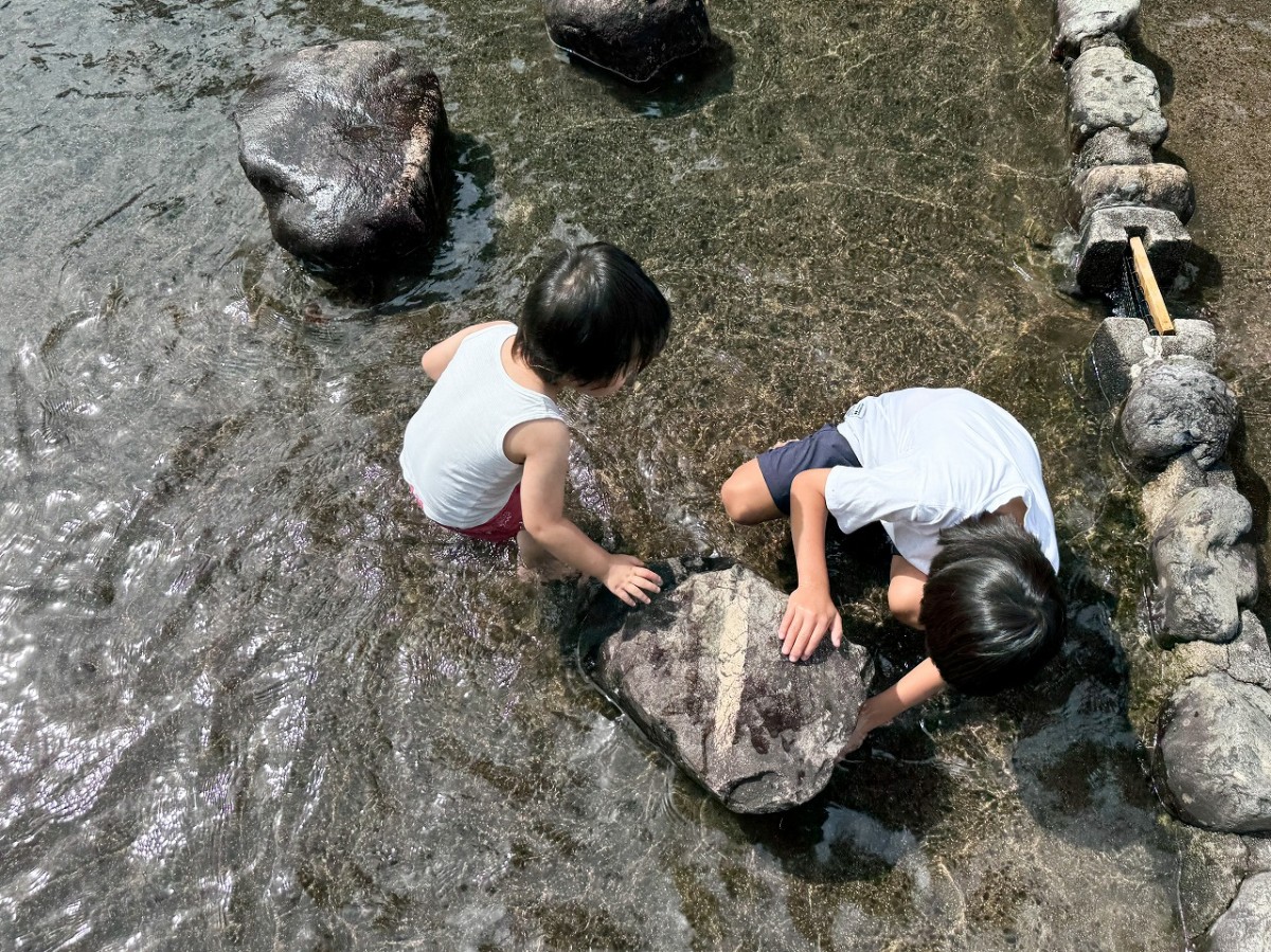 島根県飯南町にある『やまめの渓』のつかみ取りの様子