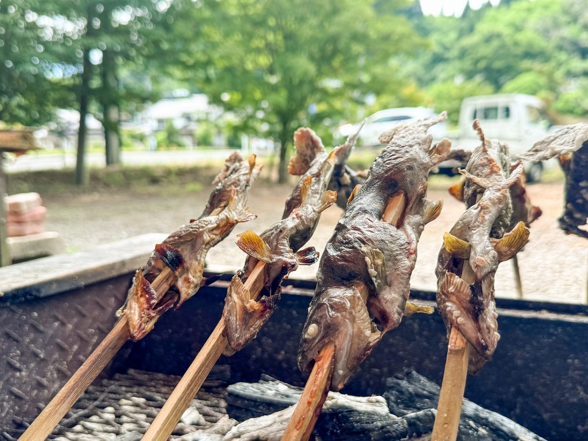島根県飯南町にある『やまめの渓』で購入できるヤマメの塩焼き