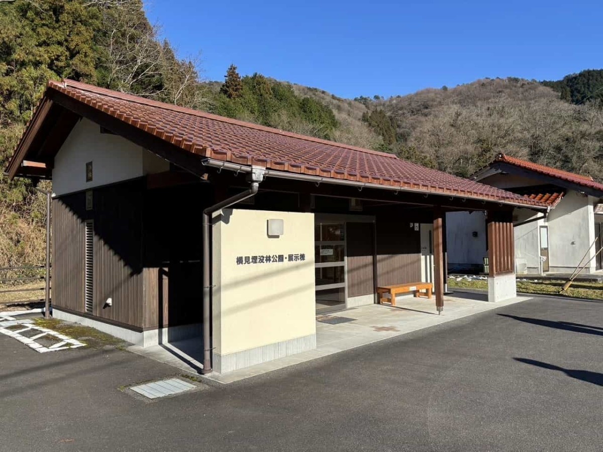 出雲市佐田町にある公園『横見埋没林公園（よこみまいぼつりんこうえん）』