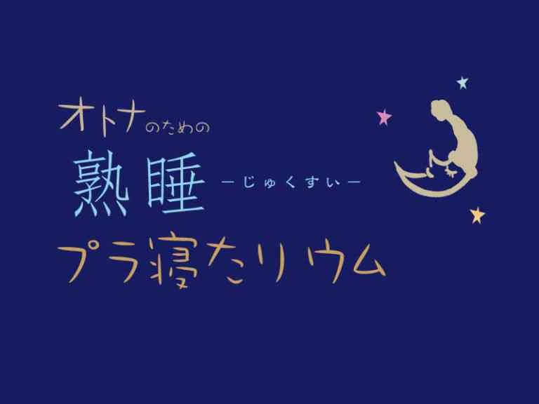 島根県大田市のイベント「熟睡プラ寝たリウム」のチラシ