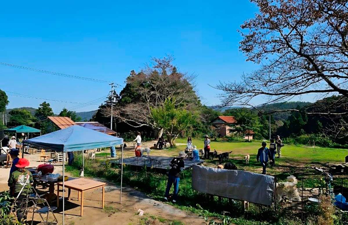 島根県大田市で開催される「クリスマスイベント in 空庭ドッグラン」のイメージ