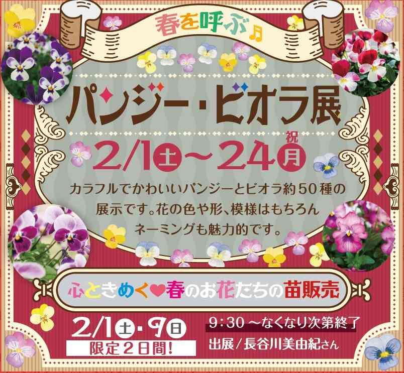 島根県出雲市のイベント「心ときめく春のお花たちの苗販売」のチラシ