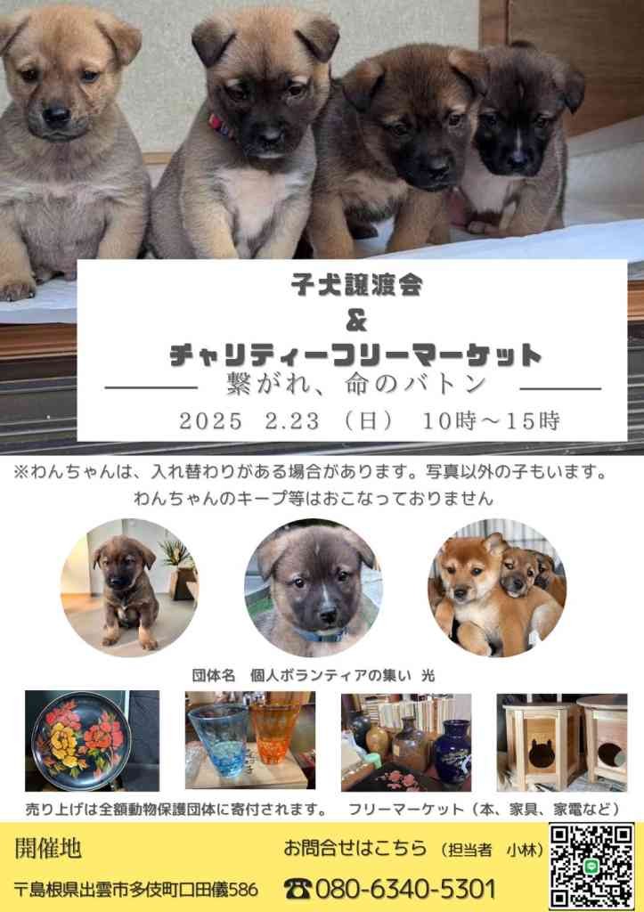 島根県出雲市のイベント「子犬譲渡会＆チャリティーフリーマーケット」のチラシ