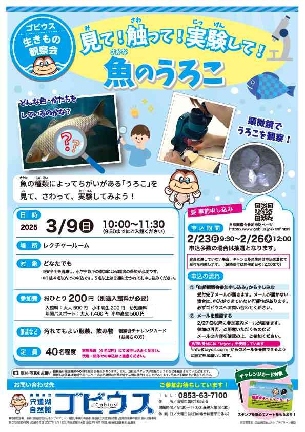 島根県出雲市のイベント「【要予約】ゴビウス生きもの観察会「見て！触って！実験して！魚のうろこ」」のチラシ