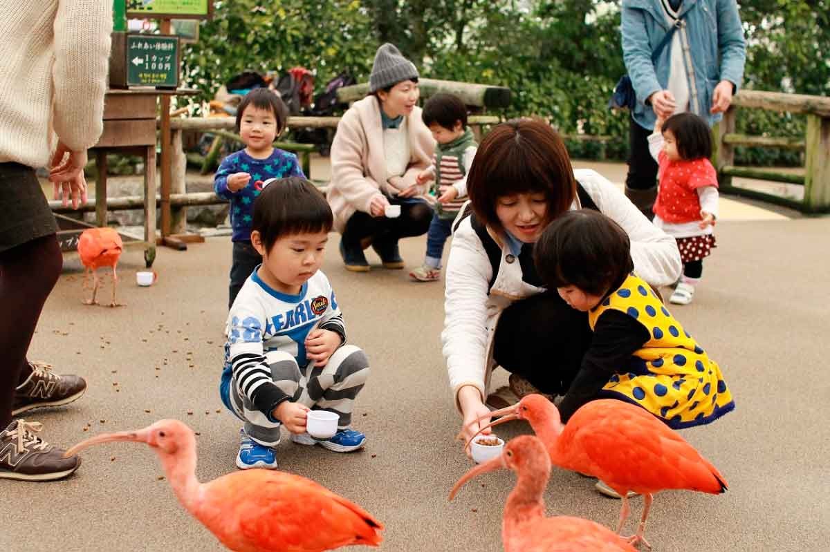 島根県松江市にある『松江フォーゲルパーク』の館内の様子