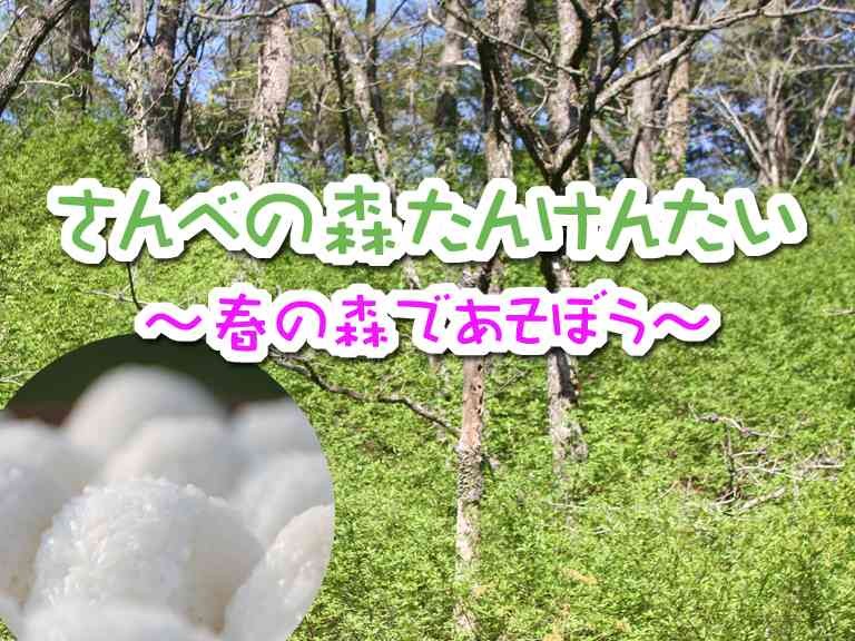 島根県大田市のイベント「【要予約】さんべの森たんけんたい　～春の森であそぼう～」のチラシ