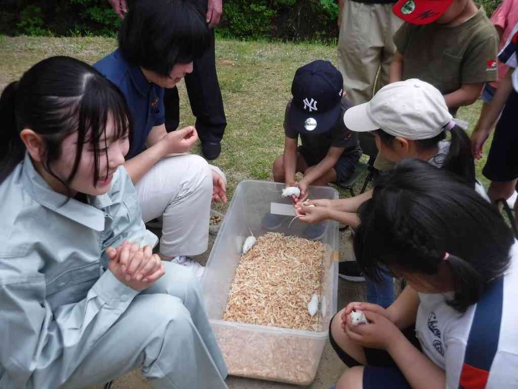 島根県松江市のイベント「森の誕生日」のイメージ