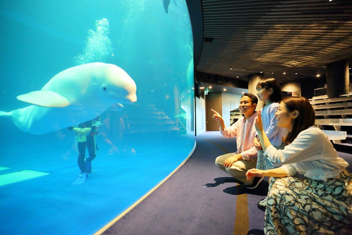 島根県浜田市にある水族館「アクアス」を楽しむ親子